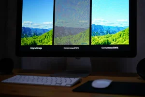 Comparaison formats images web JPEG WebP PNG